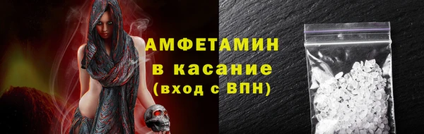 сатива Горняк