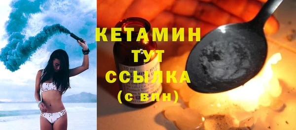 сатива Горняк