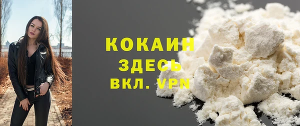 мдпв Усинск