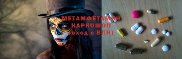 сатива Горняк