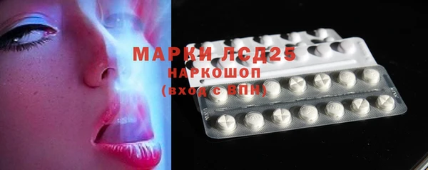 сатива Горняк