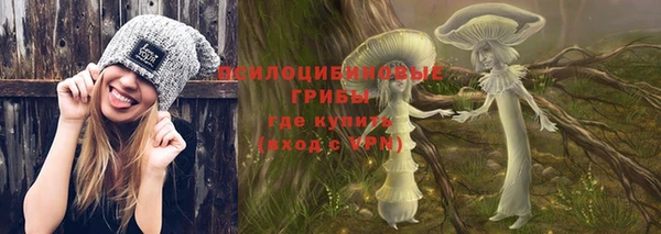 сатива Горняк