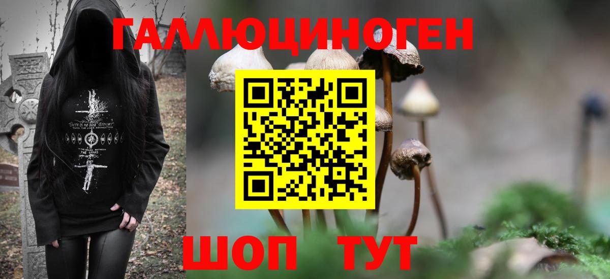 Галлюциногенные грибы Psilocybe  Галлюциногенные грибы Psilocybe  Ейск  Вход с VPN 
